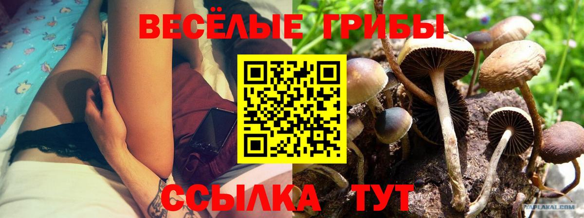 Батайск  наркошоп  Галлюциногенные грибы GOLDEN TEACHER  Вход с VPN  Псилоцибиновые грибы мицелий 